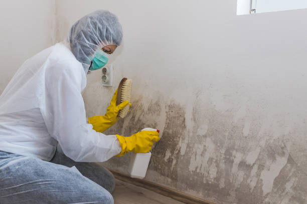 Best Post-Construction Mold Inspection  in Pawcatuck, CT