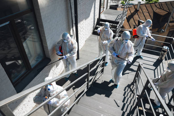 Reliable Pawcatuck, CT Mold Removal Solutions