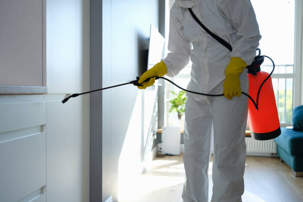 Best Mold Remediation for Vacation Homes  in Pawcatuck, CT