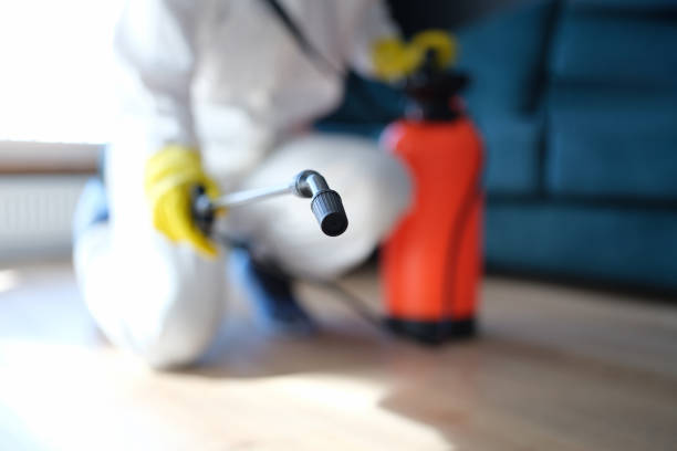 Best Post-Construction Mold Inspection  in Pawcatuck, CT