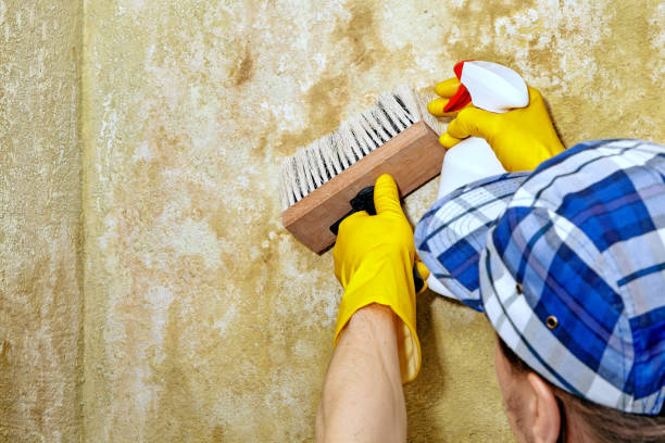 Best Indoor Air Quality Assessment  in Pawcatuck, CT