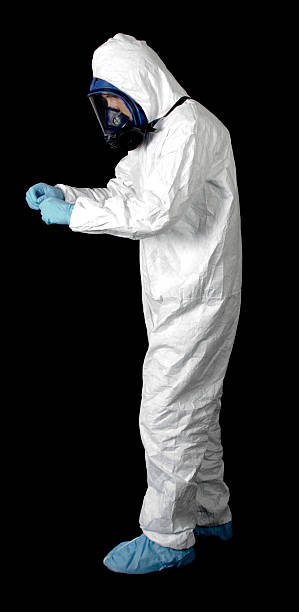 Best Attic Mold Removal  in Pawcatuck, CT