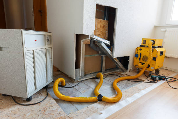 Best Residential Mold Inspection & Testing  in Pawcatuck, CT
