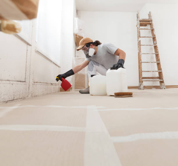 Best Asbestos and Lead Testing During Mold Inspection  in Pawcatuck, CT
